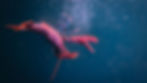 003_ALL RIVERS SPILL... still02.jpg