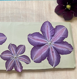 Pressing clematis flowers into the clay to make one of my unique ceramic pieces