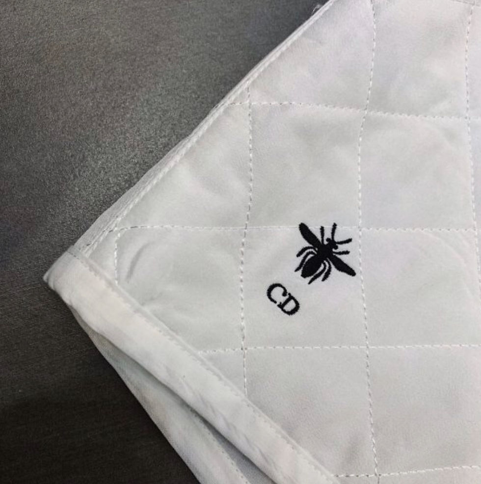 Thumbnail: Dior Silk Shorts