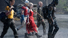 My review of the suicide squad