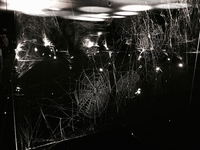 Tomás Saraceno | esculturais teias de aranha