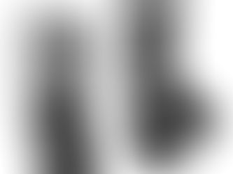 "The Concierge Paris, Owner or You're on your Own".