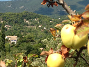 Maribergue - Provence