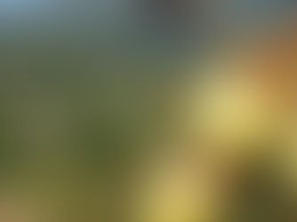 Maribergue - Provence