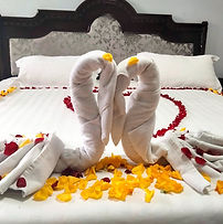 Romantic room pedal rose setup