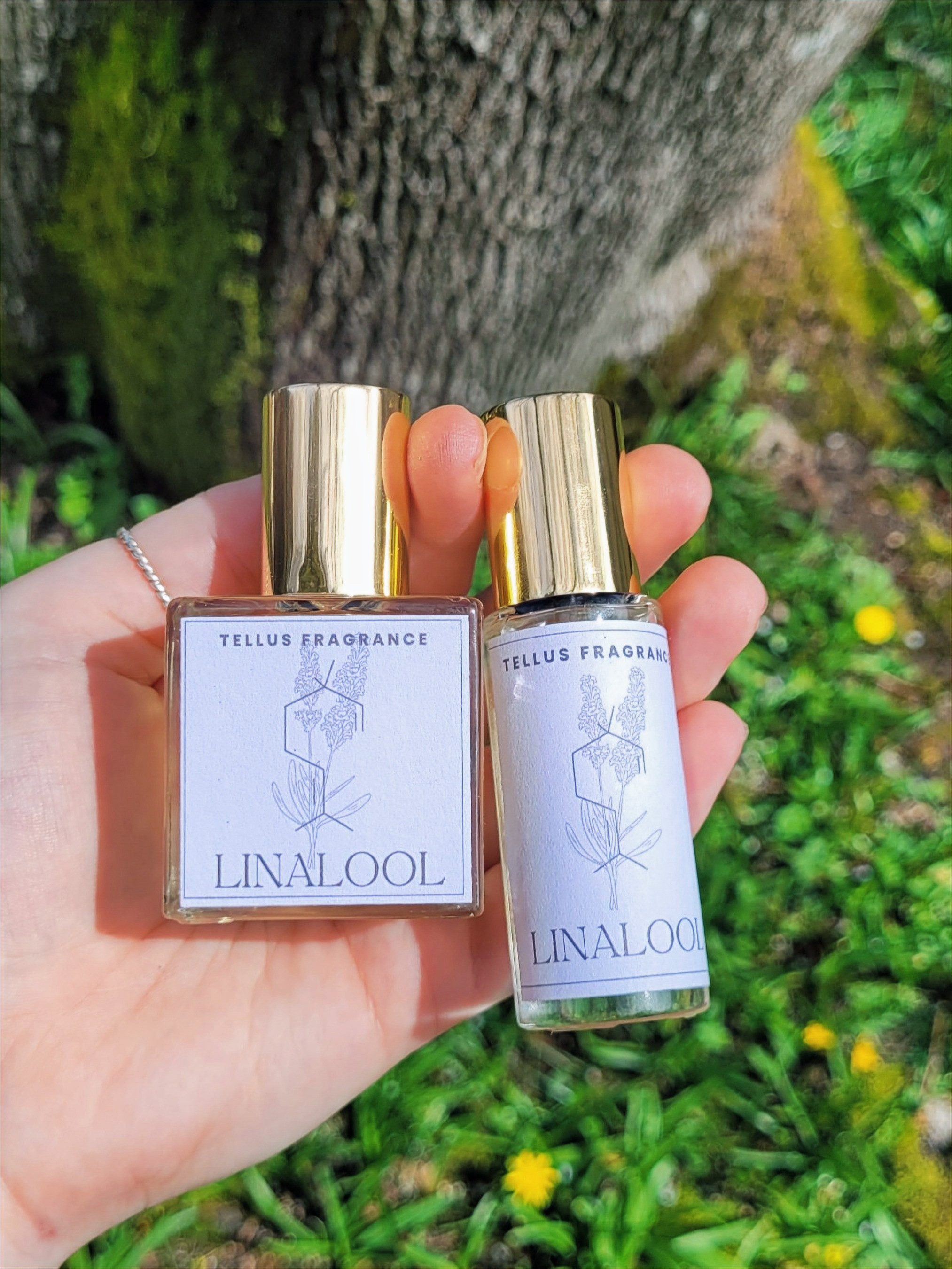 Linalool Terpene Fragrance
