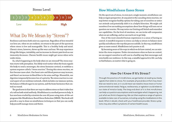 what do we mean by stress.jpg