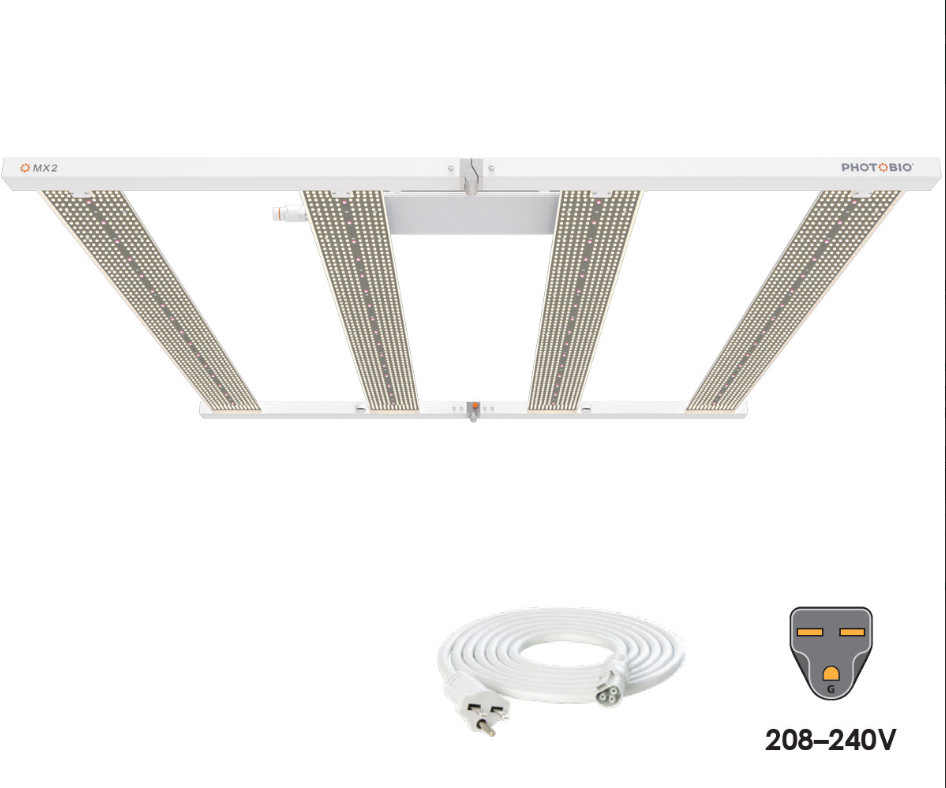 Lighting | OSI