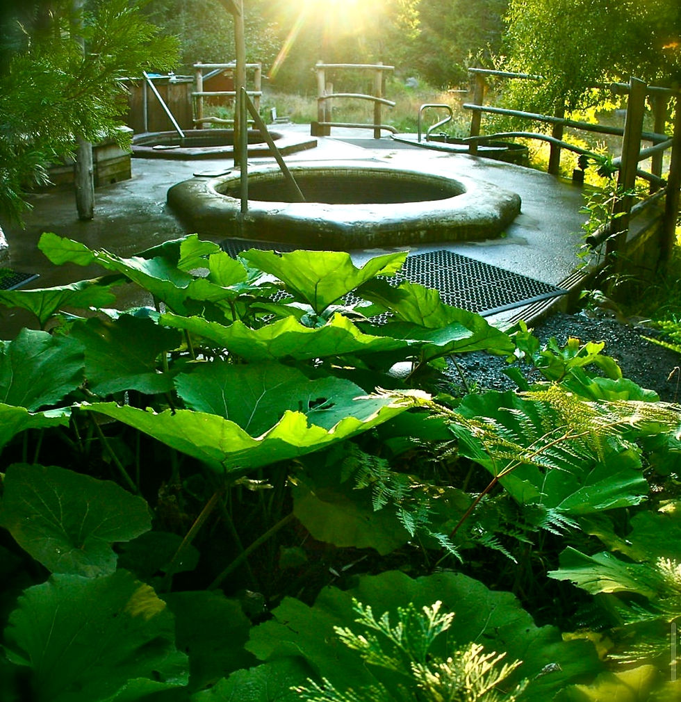 View of a spiral tub