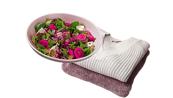 food clothes.png