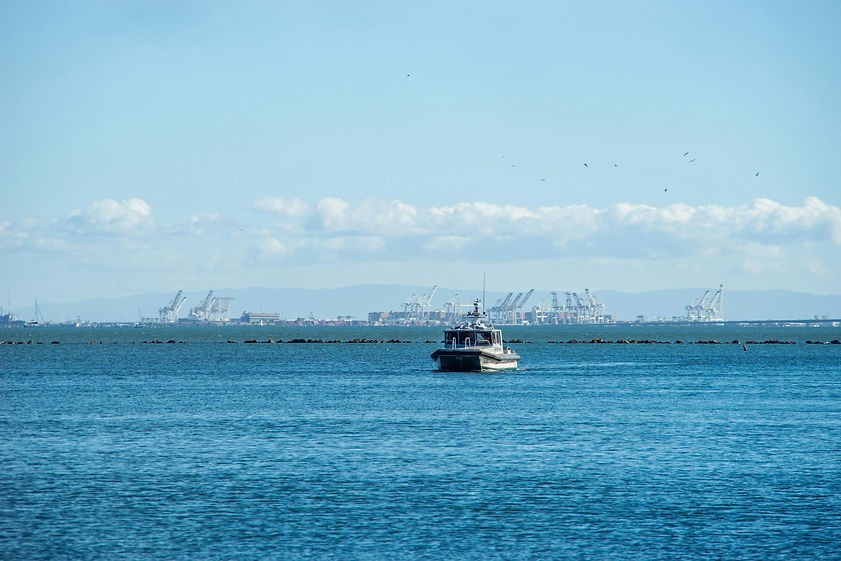 Expopesca Webpage Photos_edited.jpg