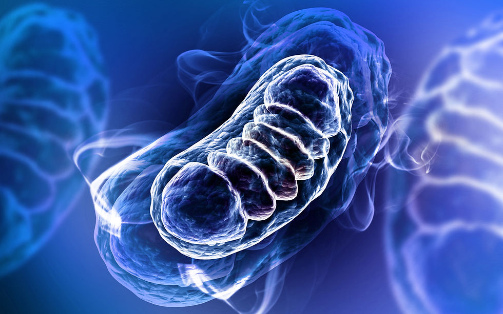 Pulsed Electromagnetic Field Therapy