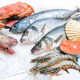 pescados y mariscos.jpeg