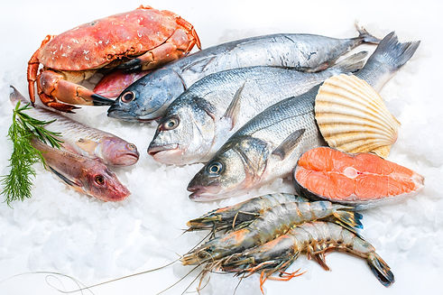 pescados y mariscos.jpeg