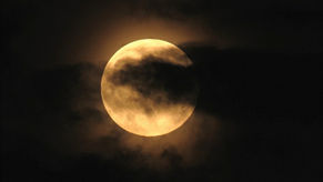 La richesse de la rêverie