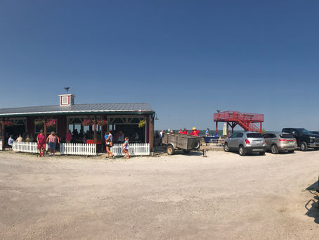 Stop in on Tuesday for Montrose Farmer's Market from 4-6pm. Shop and support local vendors!