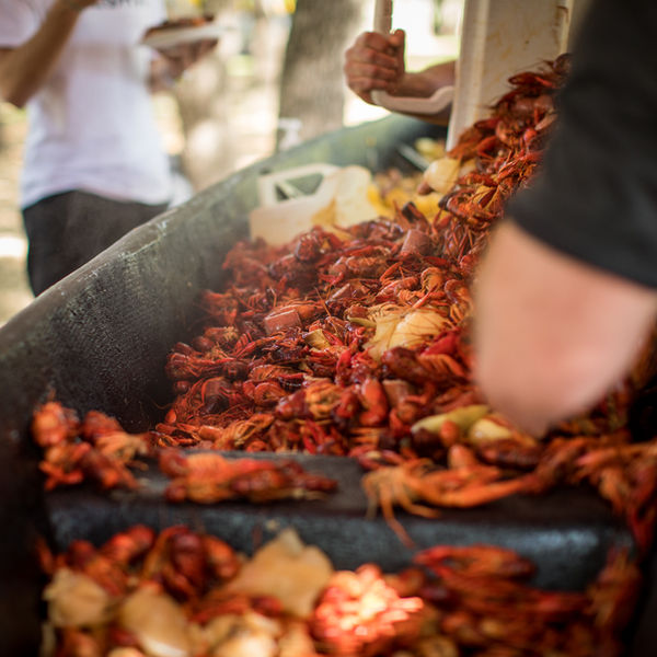 Austin-Crawfish-hot-crawfish