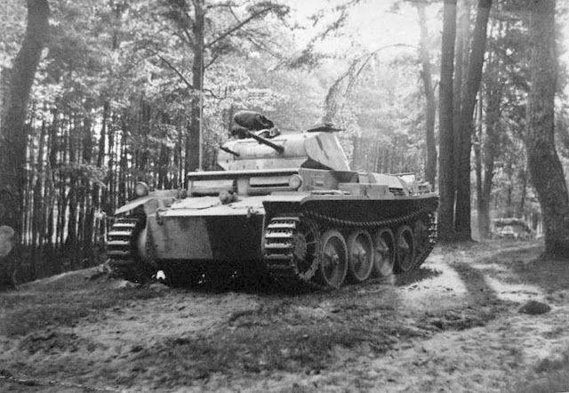 Pz II D polen0.jpg