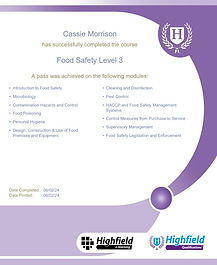 level 3 certificate.jpg