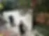 unnamed (1).webp