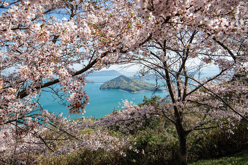 2021-04-01 香川