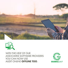 GLOBALG.A.P. Auditor in field with tablet doing a remote audit