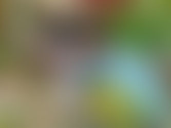 YES-O Oplan Linis II: A Two-Day Endeavor for a Cleaner Campus (February 28-March 2, 2022)