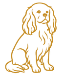 Picsart_25-07-28_20-10-45-726.png