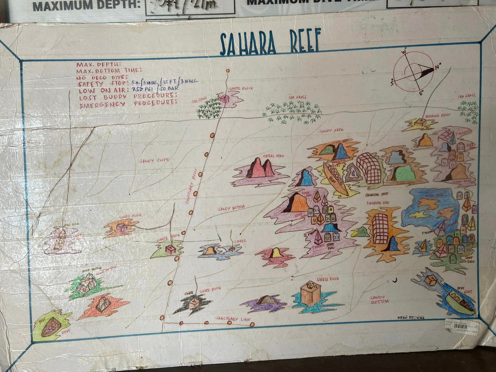 336532623_905632537414938_8348668207061561346_n