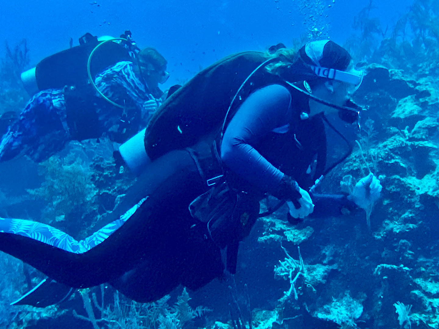 SportDiver_20241106_113846.JPG