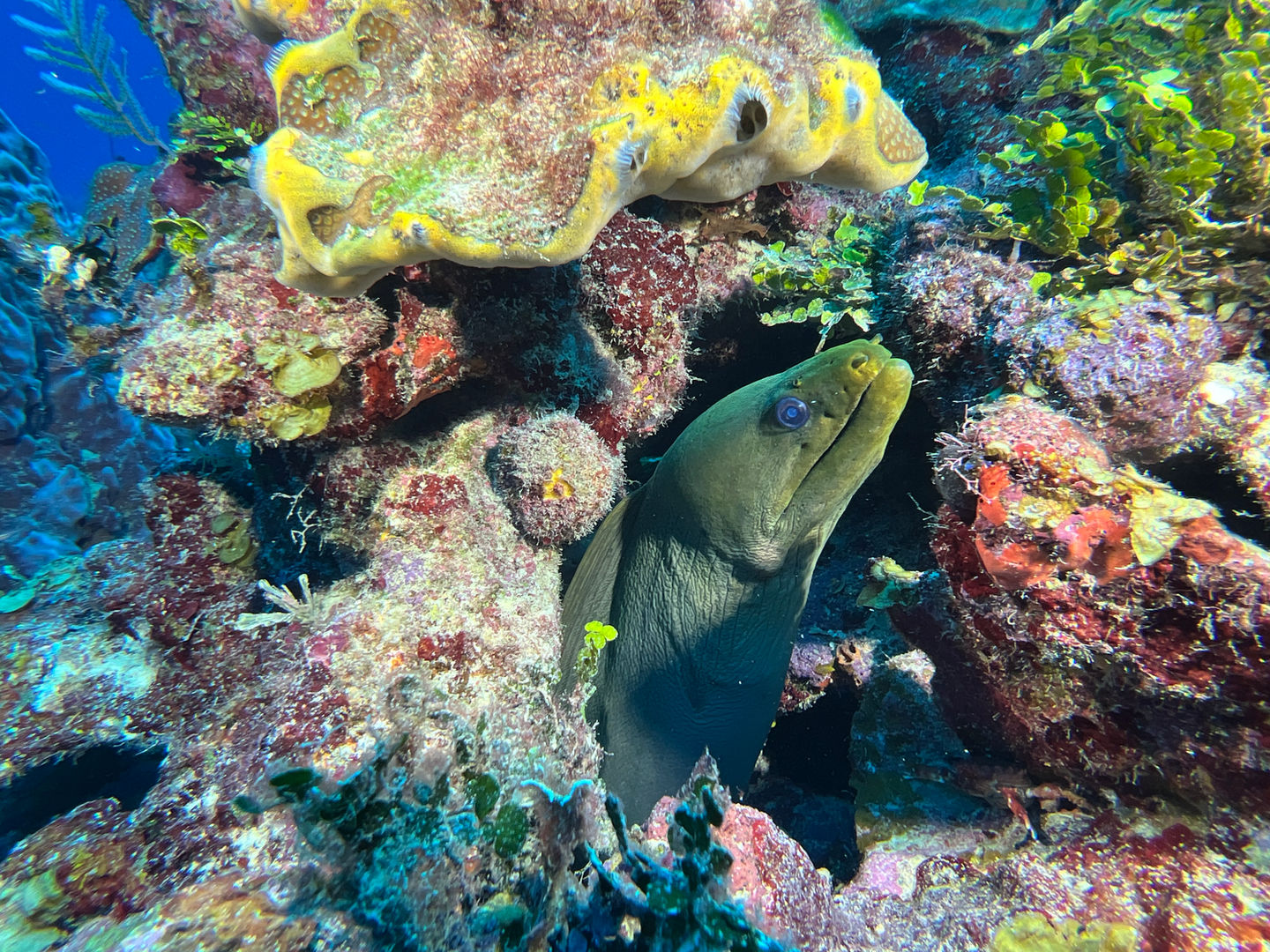 SportDiver_20241107_113651.jpg