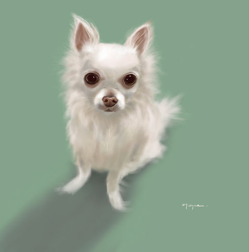 Bella.JPEG