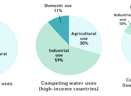 Irrigating Your Food to Save Big!