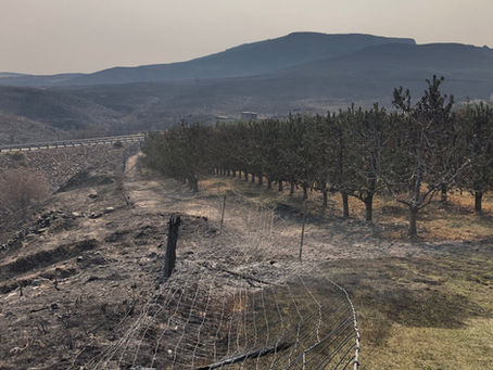 Wildfire Impact on Farming in Washington