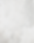 WCF Newsletter Template.png