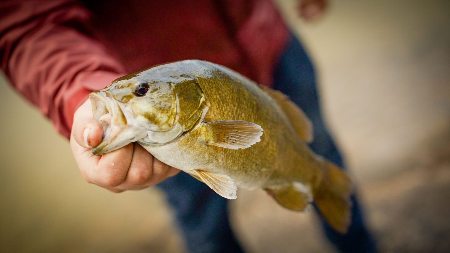 Nordic Point Lodge Fishing