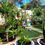 Thumbnail: Pomegranate Tree