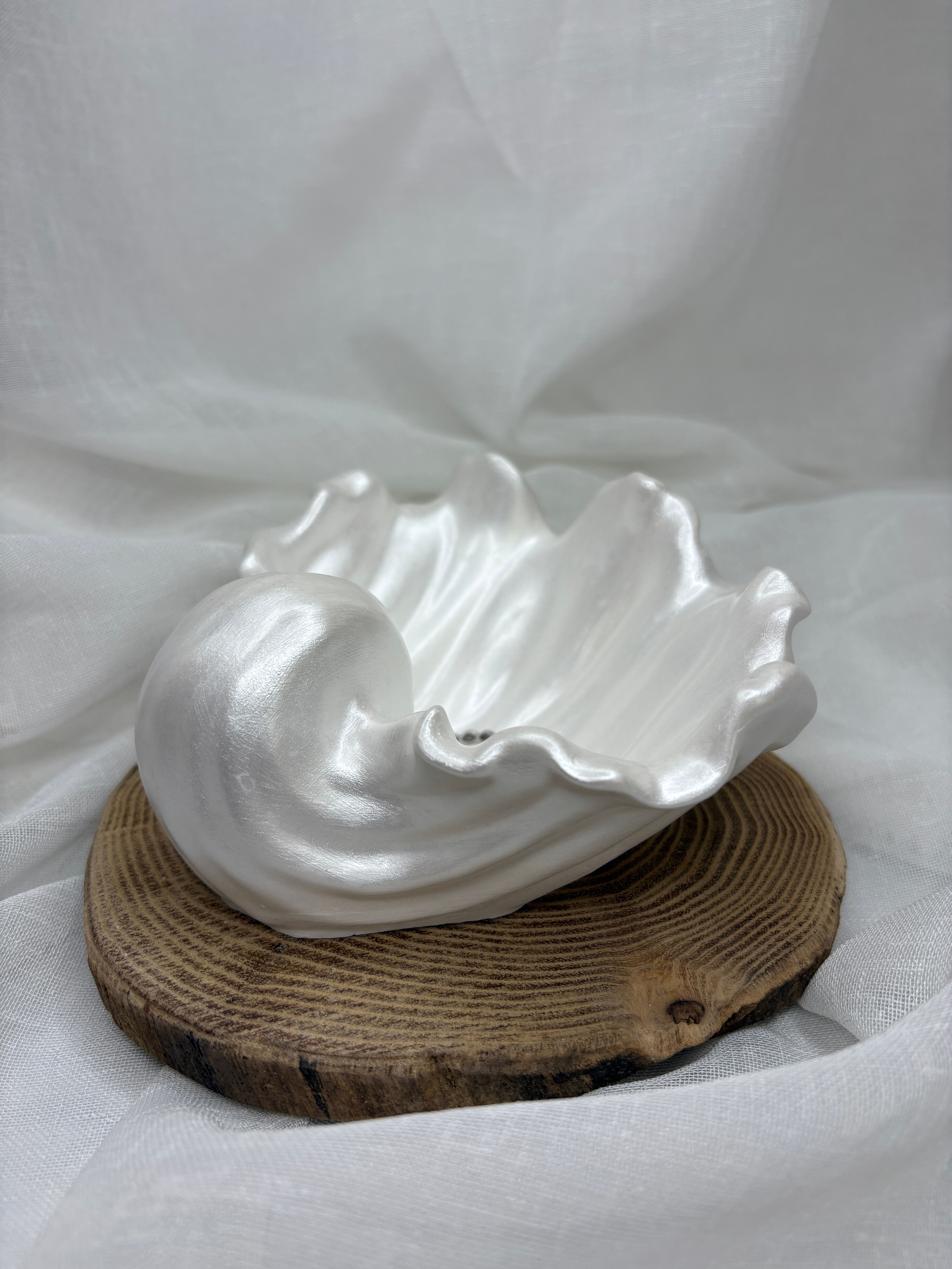 Muschelschale
