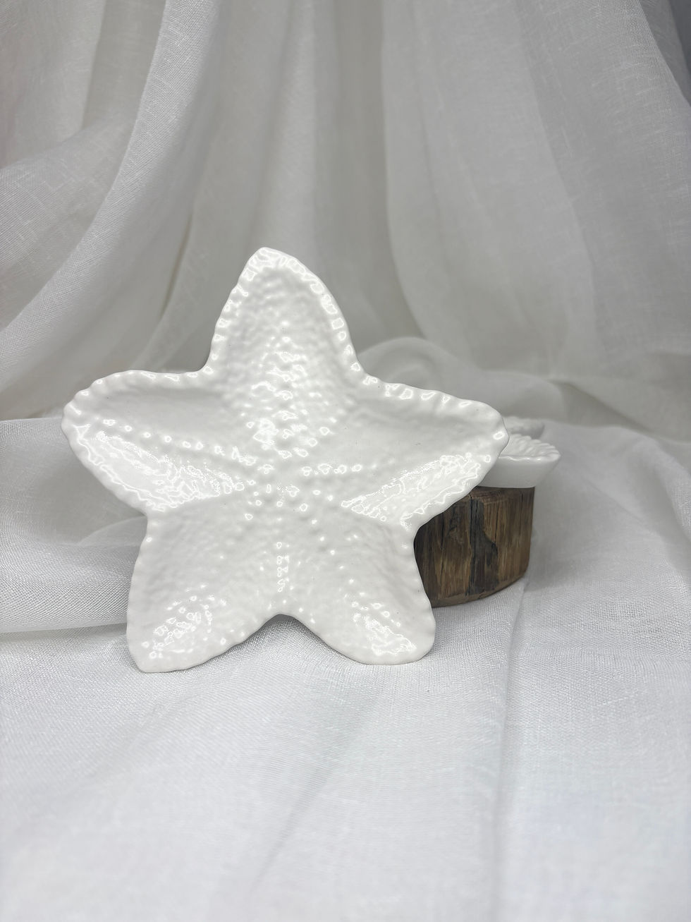 Miniaturbild: Seestern Schale