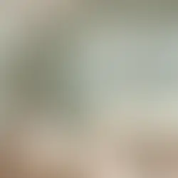 Modern living room with sage green walls, large windows, and soft lighting.  Versatile window treatments.