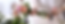 Petals and Pop Website Banners (1).png