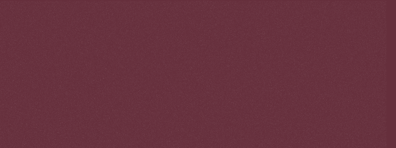 First Light Website Banners (7).png