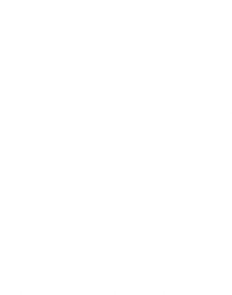 Stylist&Co_Pattern_PNG.png