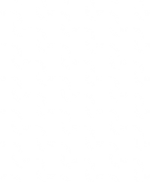 KimFit_KFPattern_PNG.png