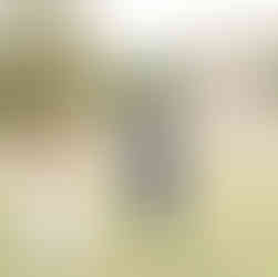 Bride and groom portraits along the Maryland Eastern Shore waterfront