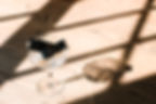 Aly Matei Photography - Stylist & Co-4_websize.jpg