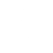 FirstLIghtCalligraphy_WhiteStarBrandmark_PNG.png