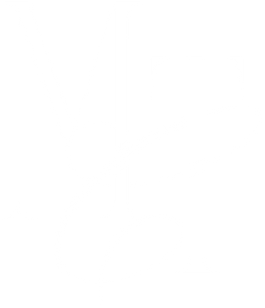 MCT Marketing Social Media Management for Colorado Businesses