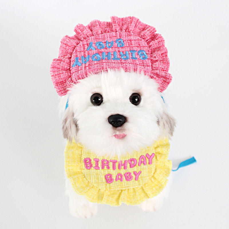 Thumbnail: Pet Birthday Bib