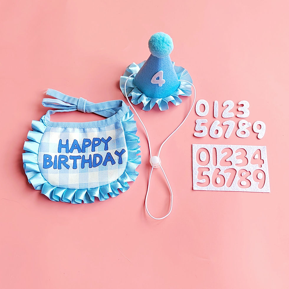 Pet Birthday Hat and Bib Set with Numbers